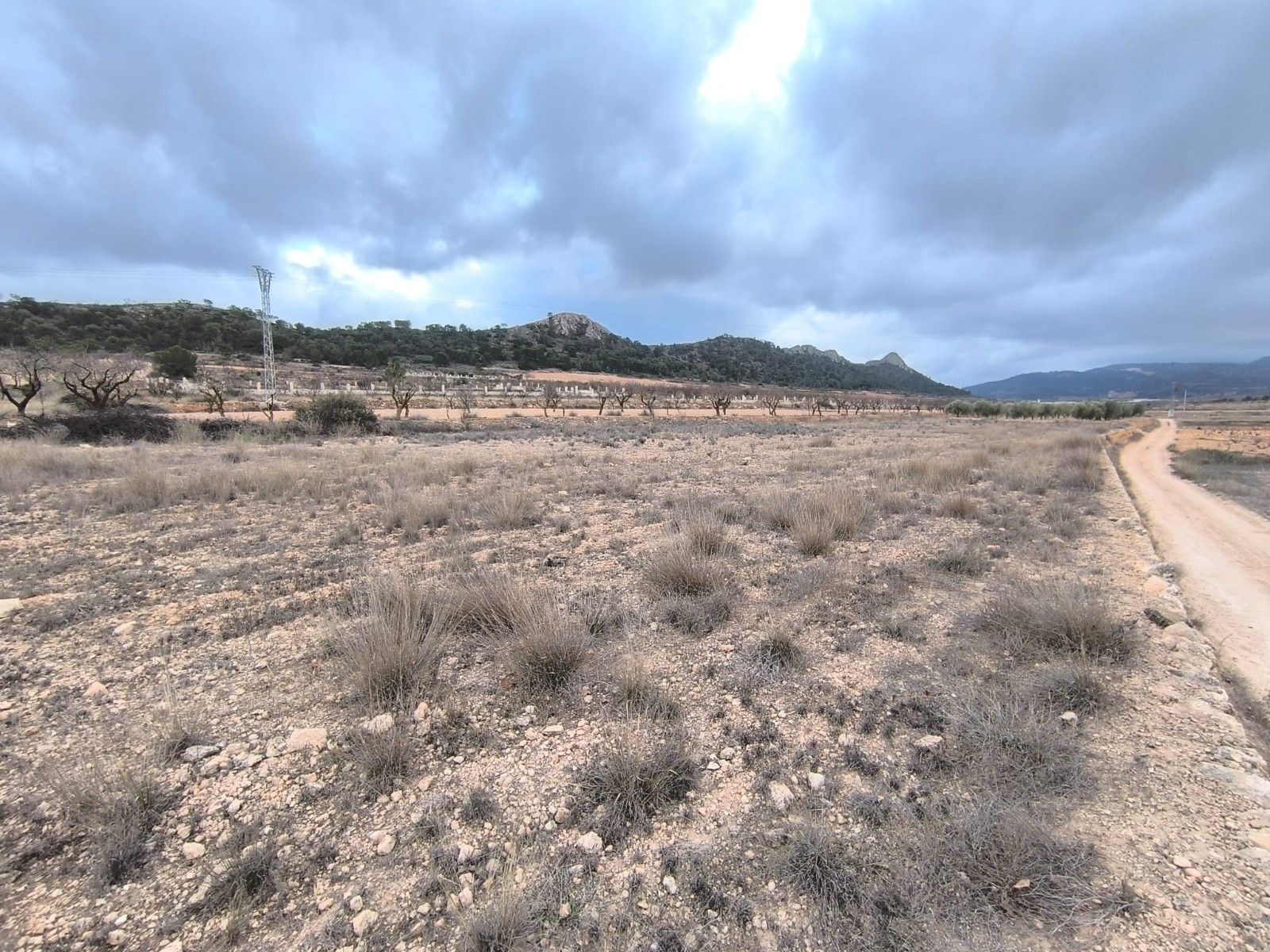 Plot of 3132 m2 for sale in a picturesque valley, near Pinoso