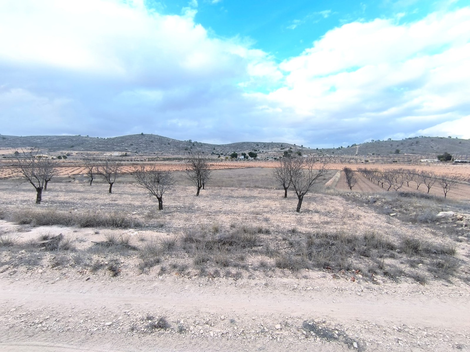 Are you looking for a Legal building plot