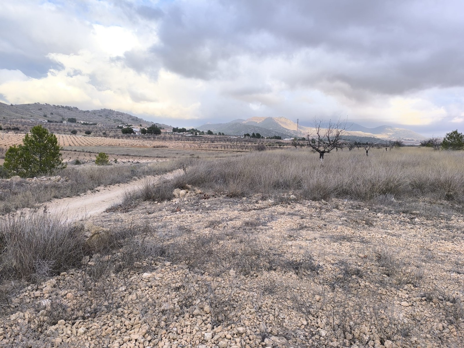 Are you looking for a Legal building plot
