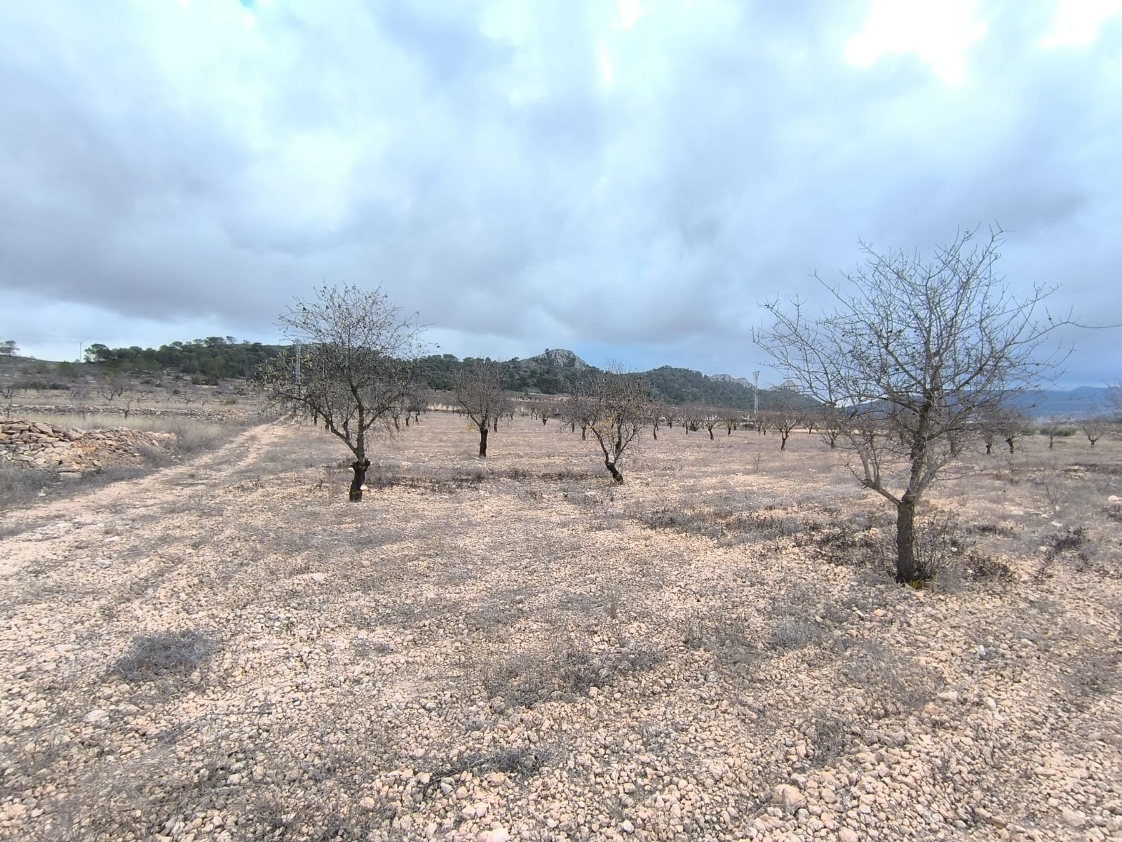 Are you looking for a Legal building plot