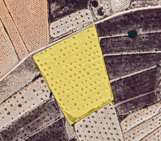 Are you looking for a Legal building plot