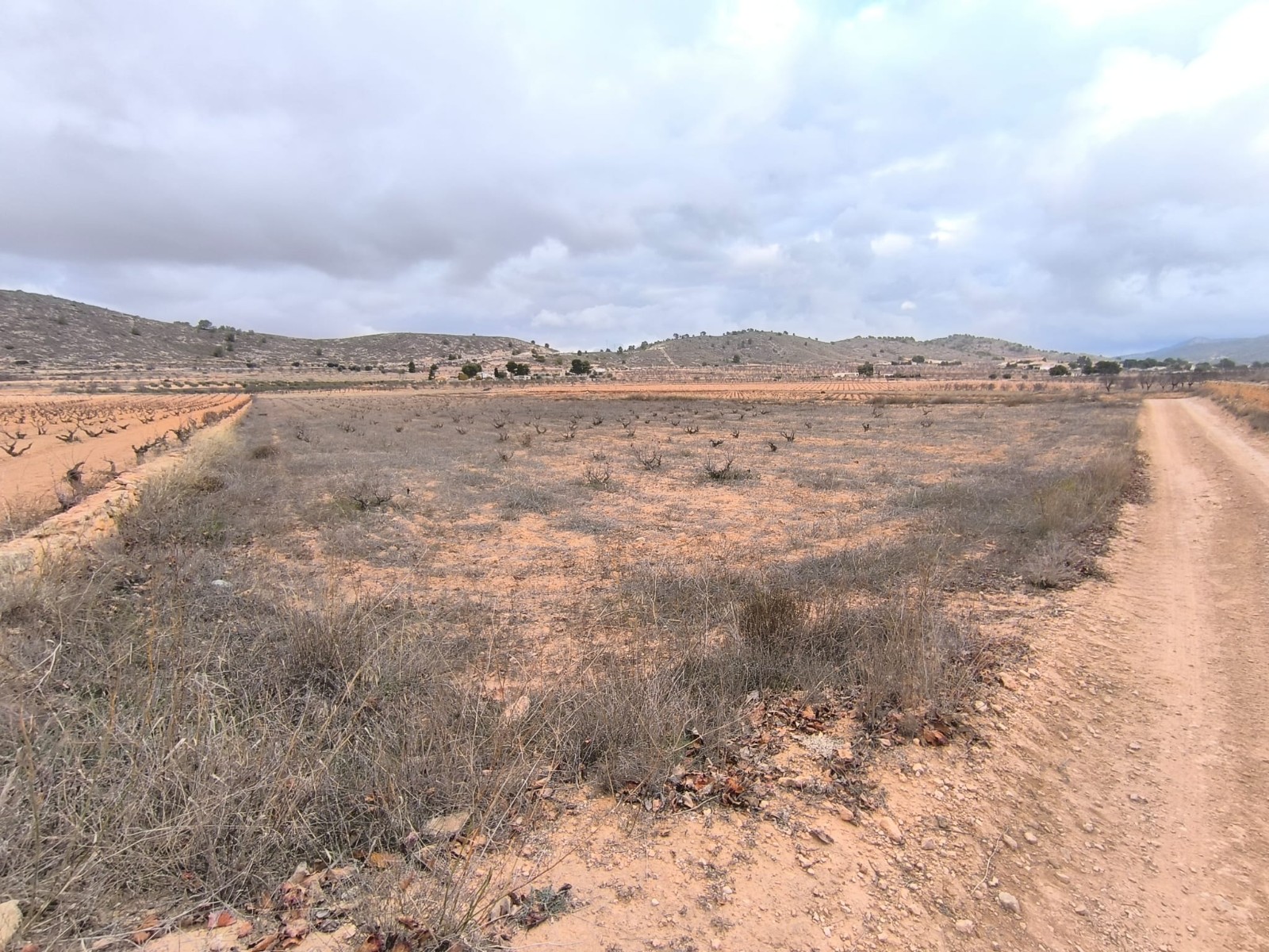 Are you looking for a Legal building plot