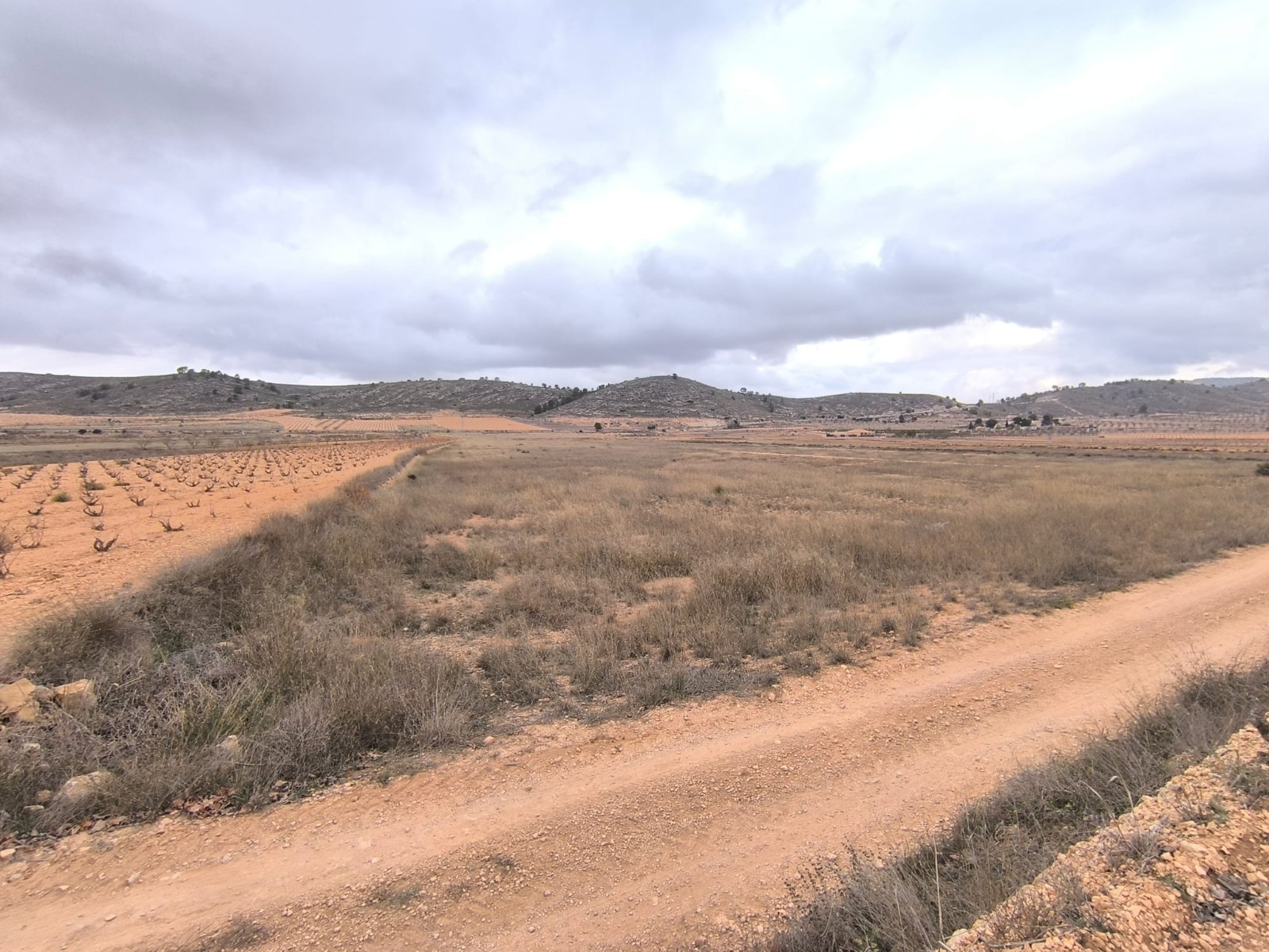 Legal building plot of 17555 m2 for sale in a picturesque valley, near Pinoso