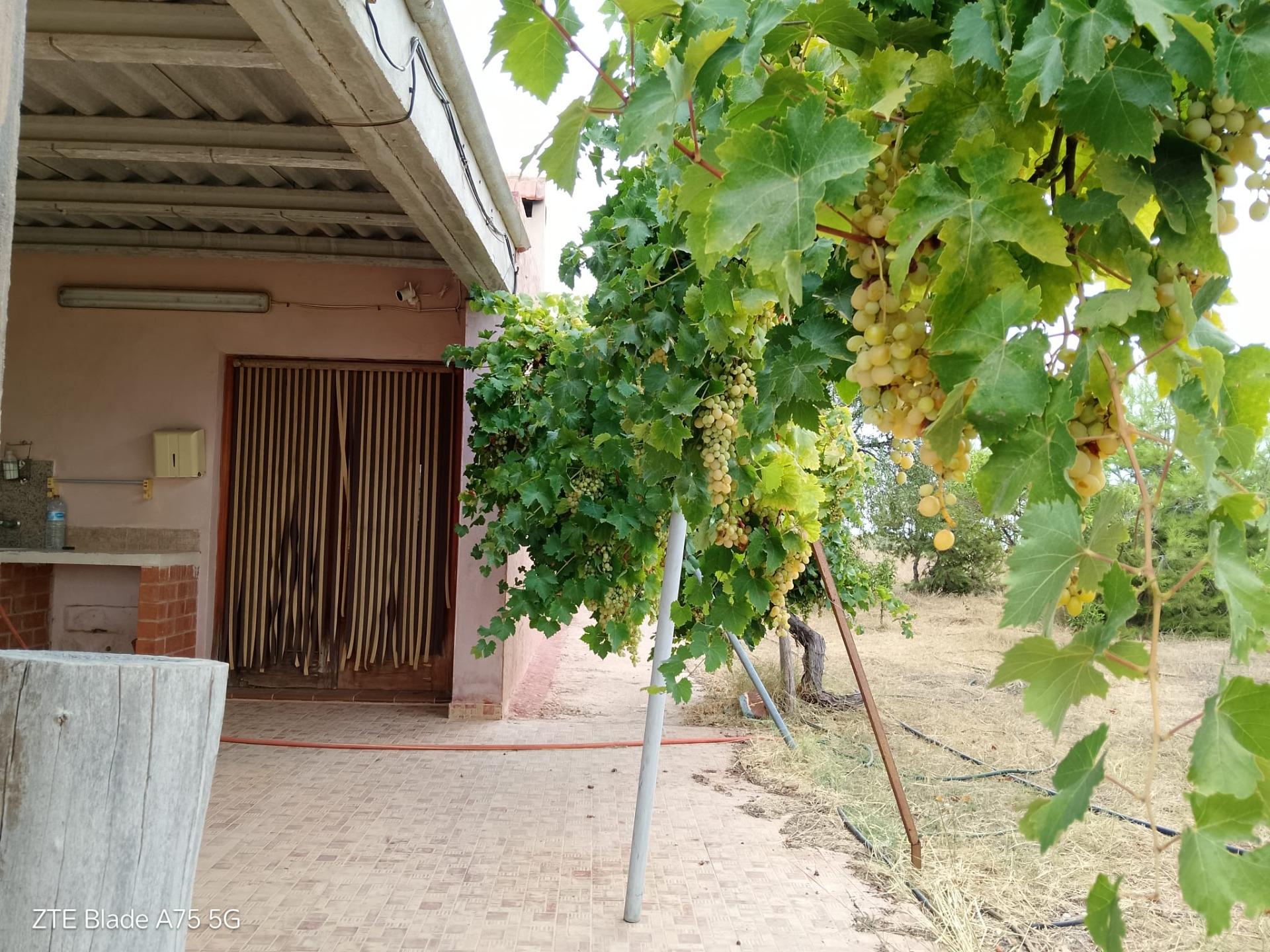 Dining area in finca for sale in Cartagena