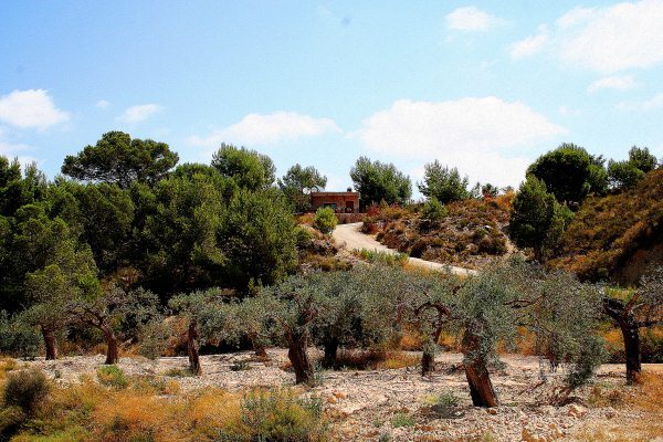 Pool area in finca for sale in Gea Y Truyols