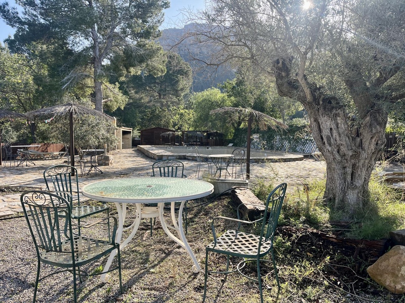 Pool area in finca for sale in Gea Y Truyols