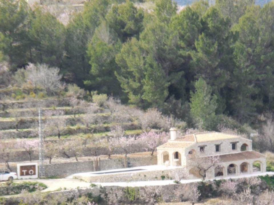 Exterior view in finca for sale in Tarbena