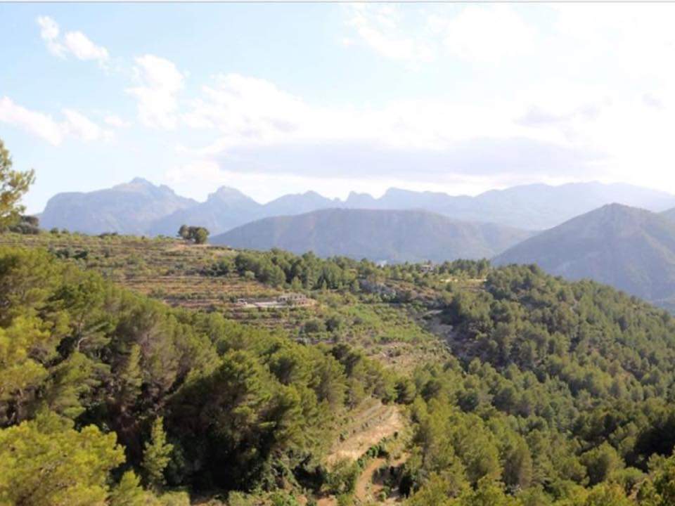 Terrace in finca for sale in Tarbena