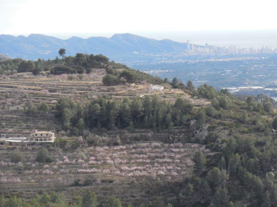 Terrace in finca for sale in Tarbena