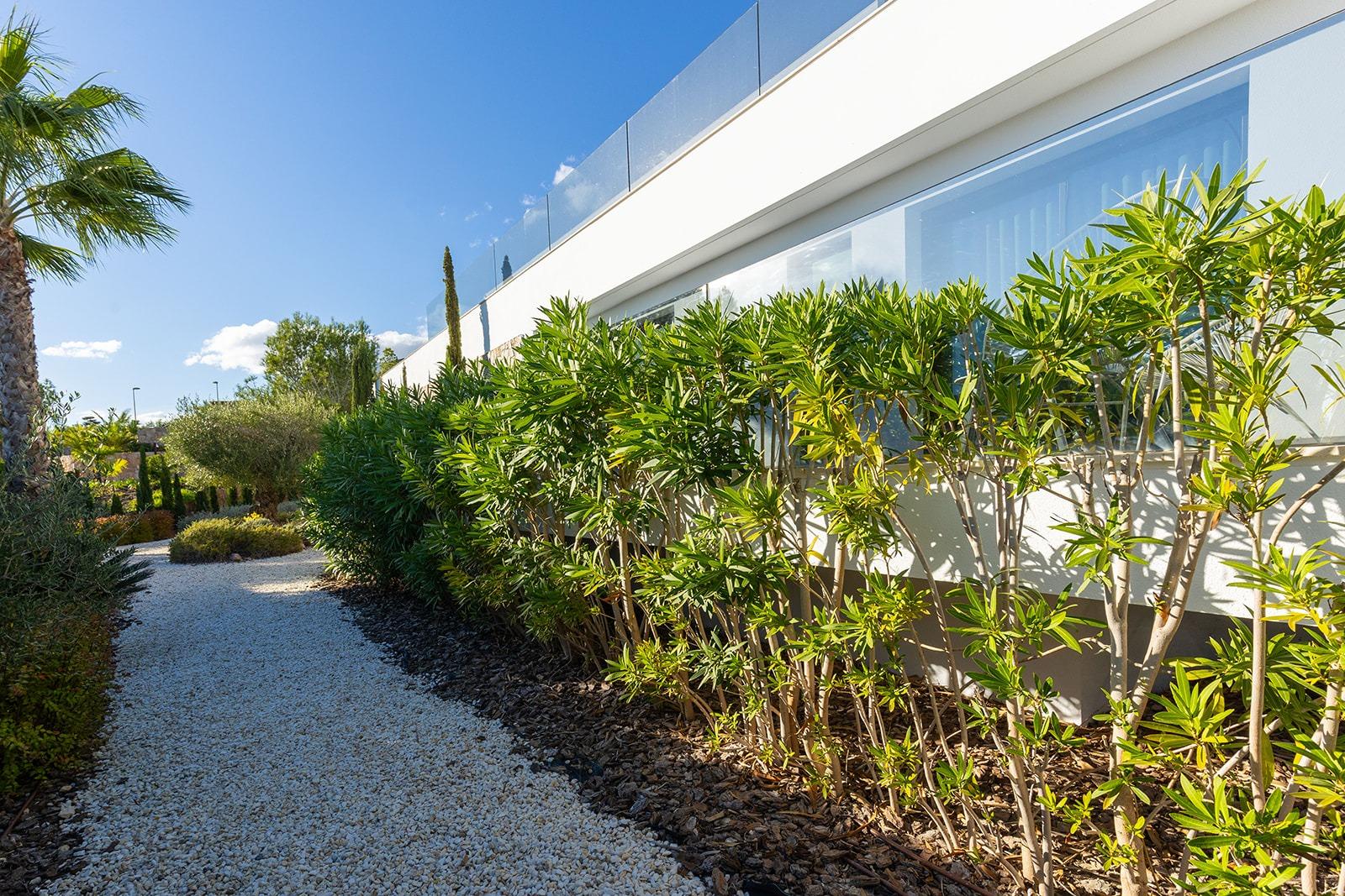 Pool area in villa for sale in Orihuela