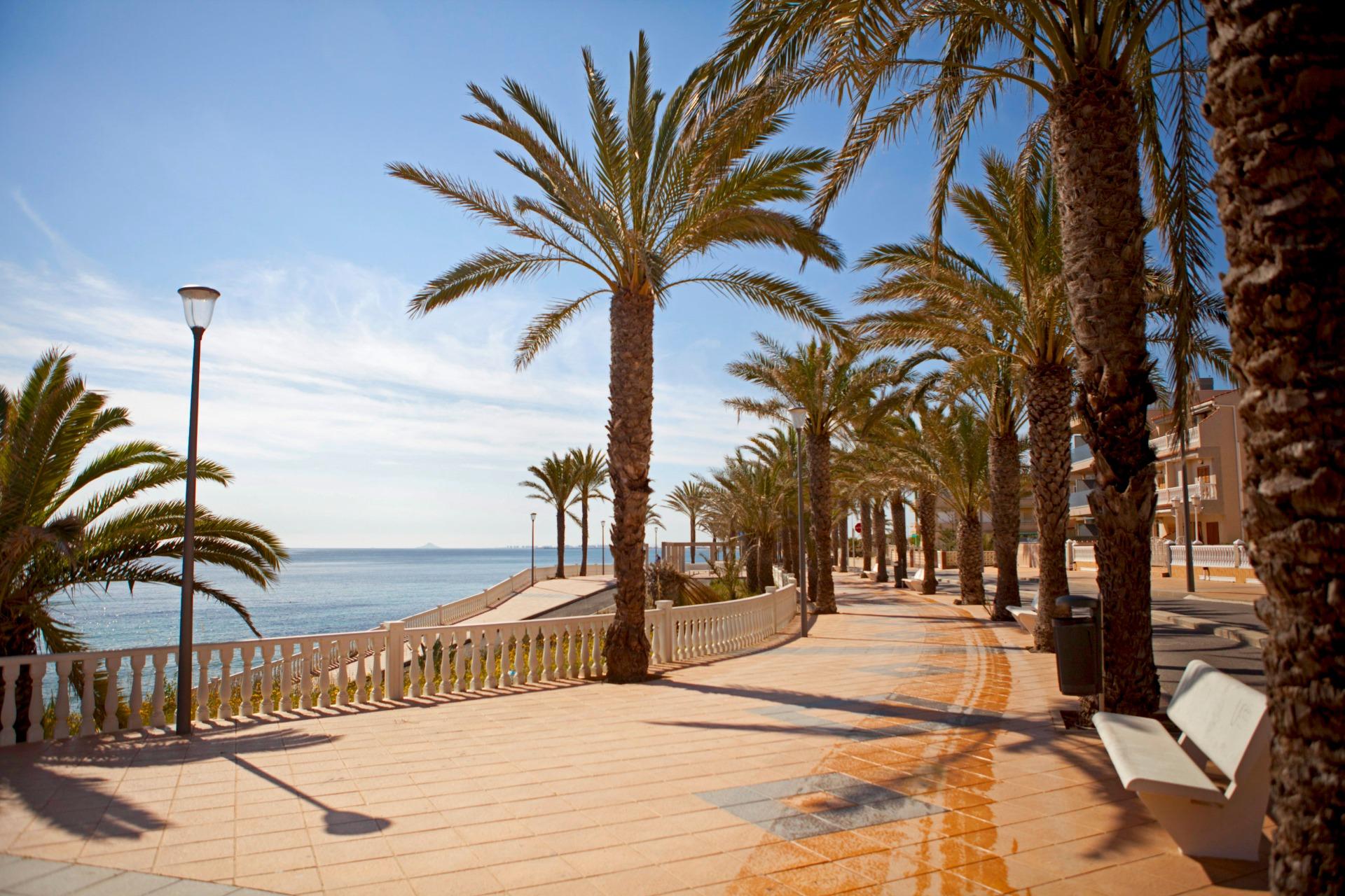 Exterior view in apartment for sale in Pilar de La Horadada