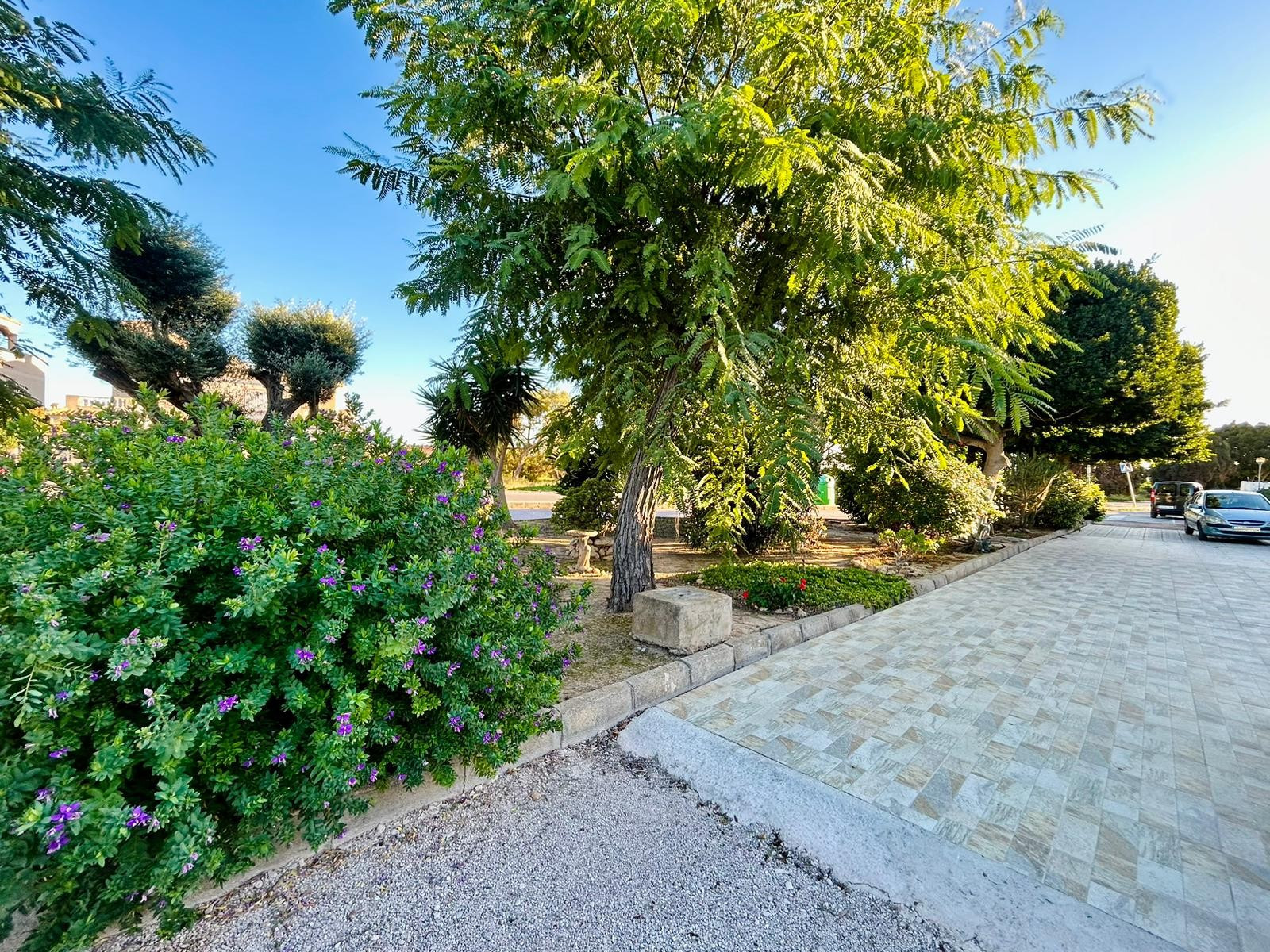 Garden in terraced for sale in Torrevieja