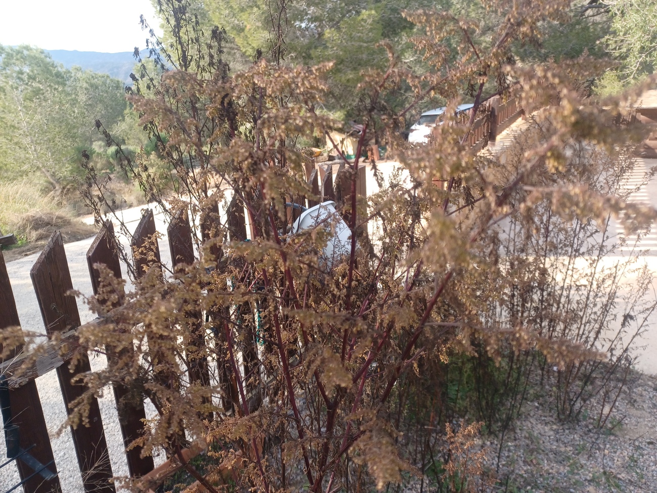 Exterior view in finca for sale in Gea Y Truyols