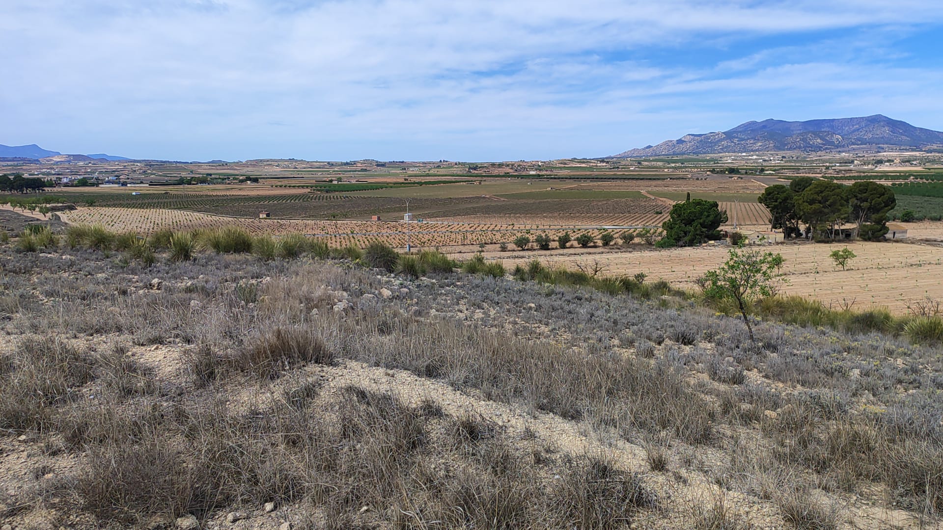 This 17,300 m² parcel is located just 800 meters from the town of Pinoso, Alicante