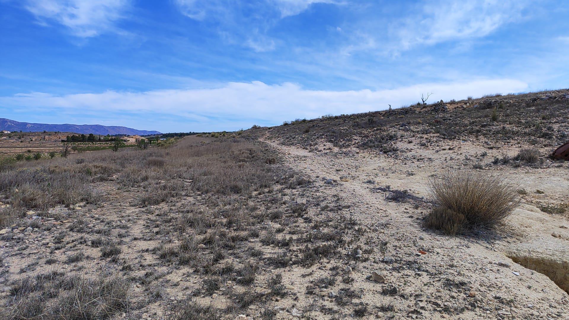 Exterior view in land for sale in Pinoso