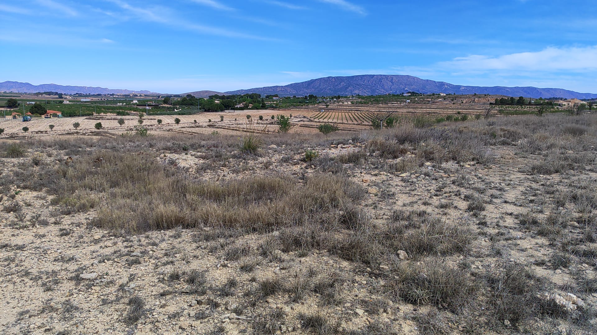 Living room in land for sale in Pinoso