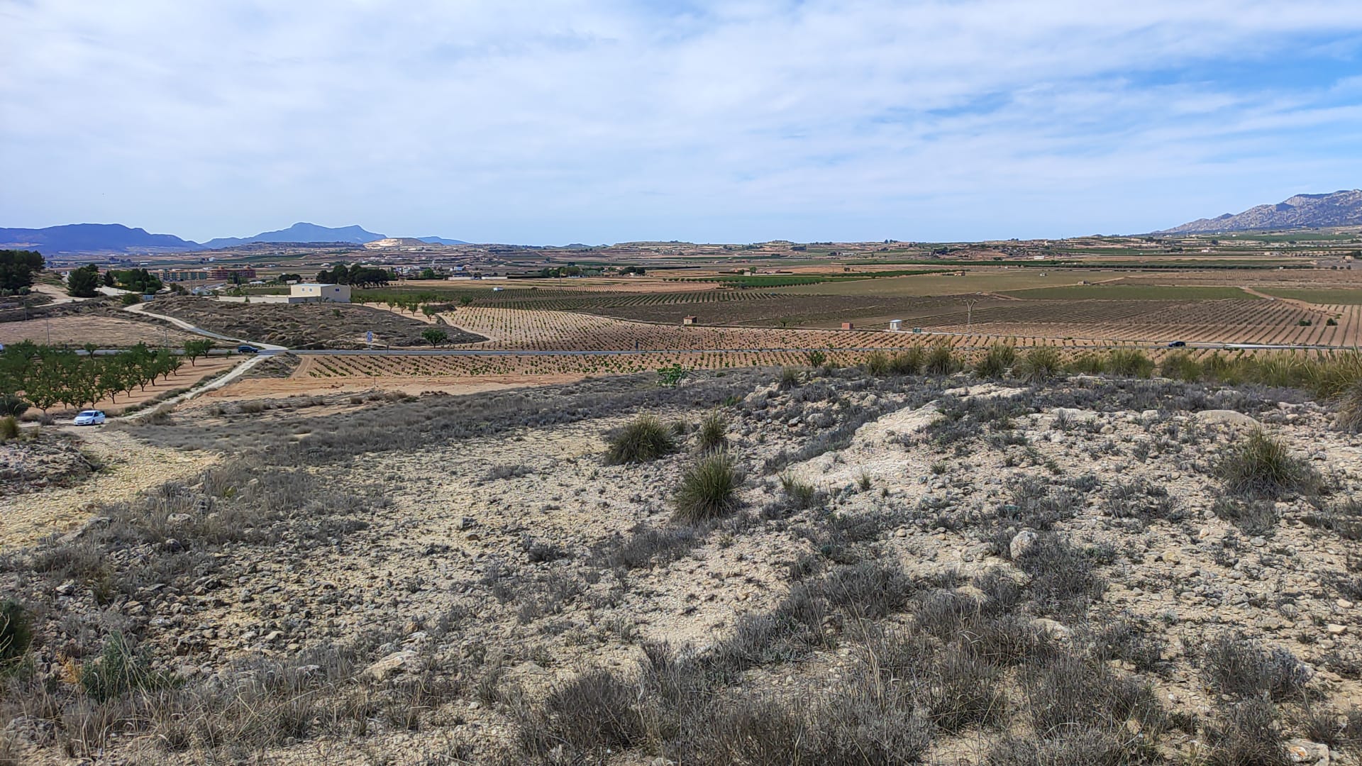 Kitchen in land for sale in Pinoso