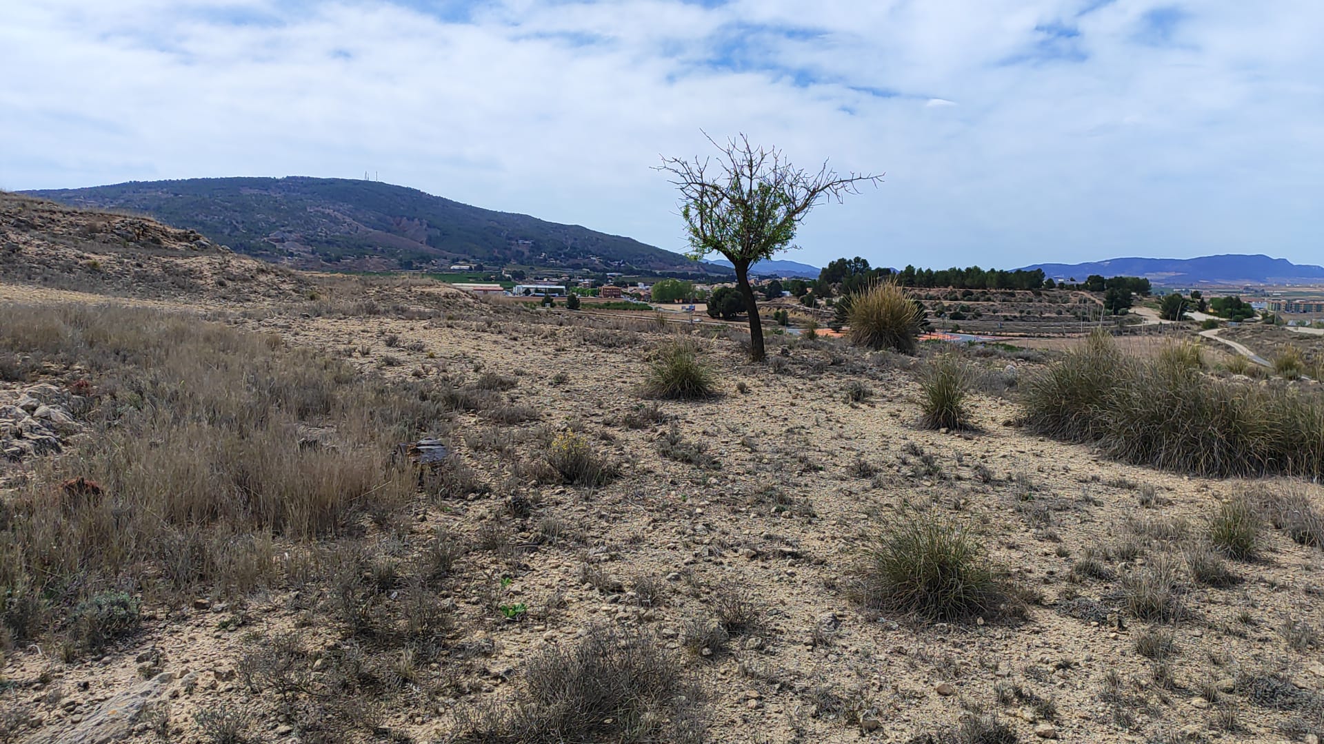 Bathroom in land for sale in Pinoso