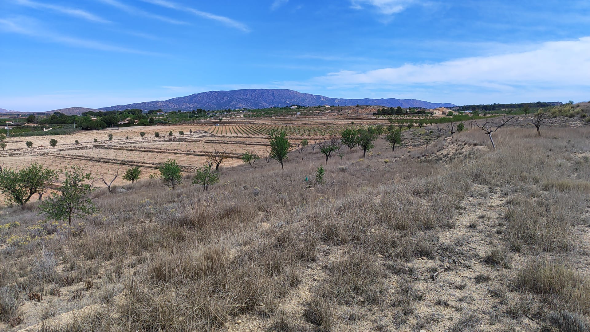 This 17,300 m² parcel is located just 800 meters from the town of Pinoso, Alicante