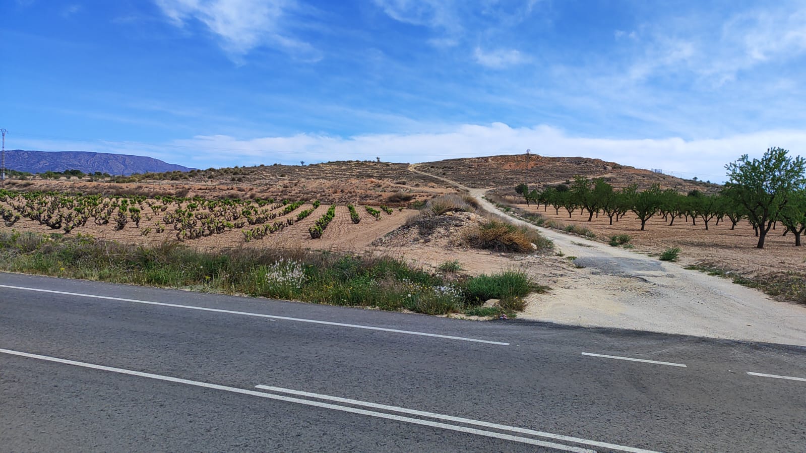 This 17,300 m² parcel is located just 800 meters from the town of Pinoso, Alicante