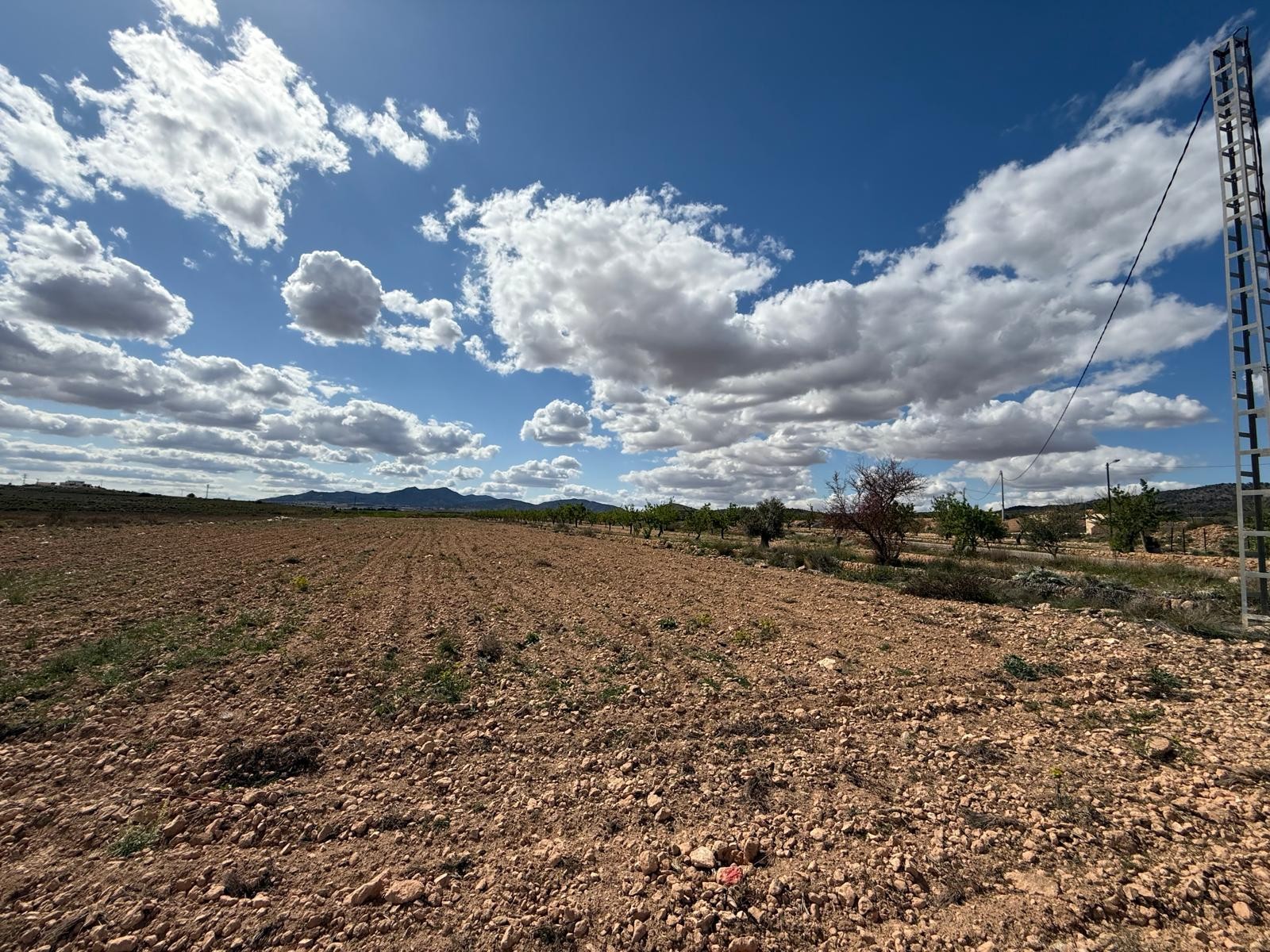 This 10,014 m² plot is located in the area of Lel, near Pinoso, Alicante