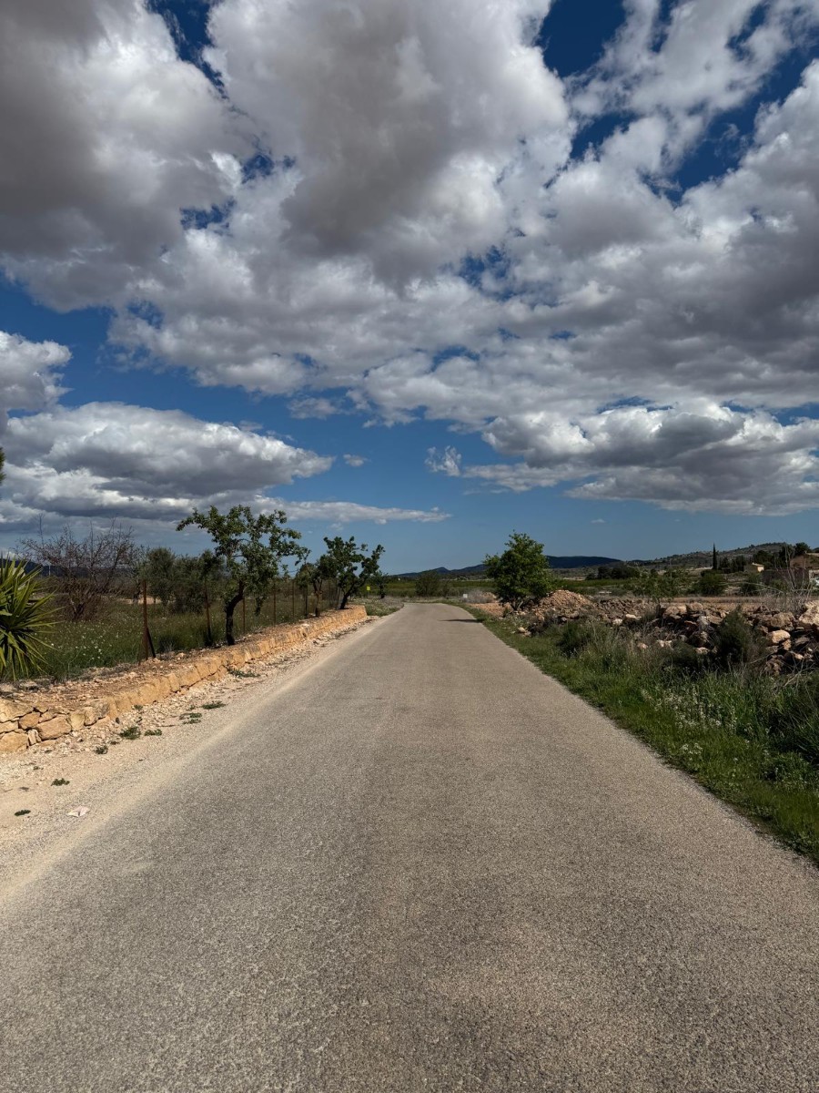 This 10,014 m² plot is located in the area of Lel, near Pinoso, Alicante