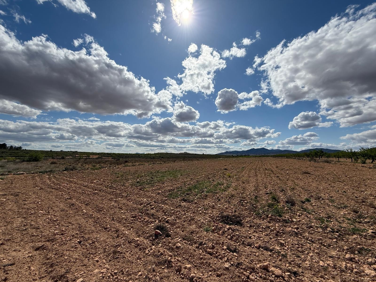 This 10,014 m² plot is located in the area of Lel, near Pinoso, Alicante