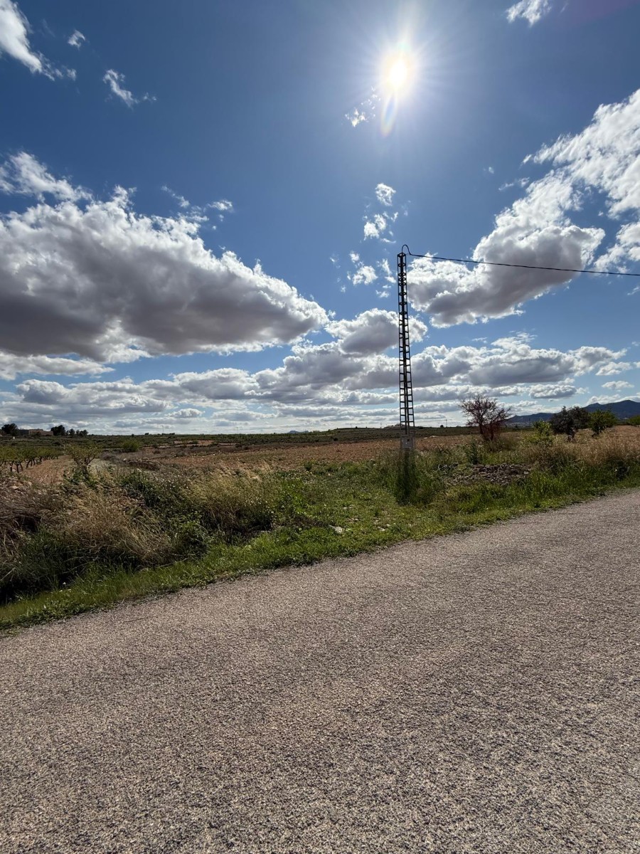 This 10,014 m² plot is located in the area of Lel, near Pinoso, Alicante