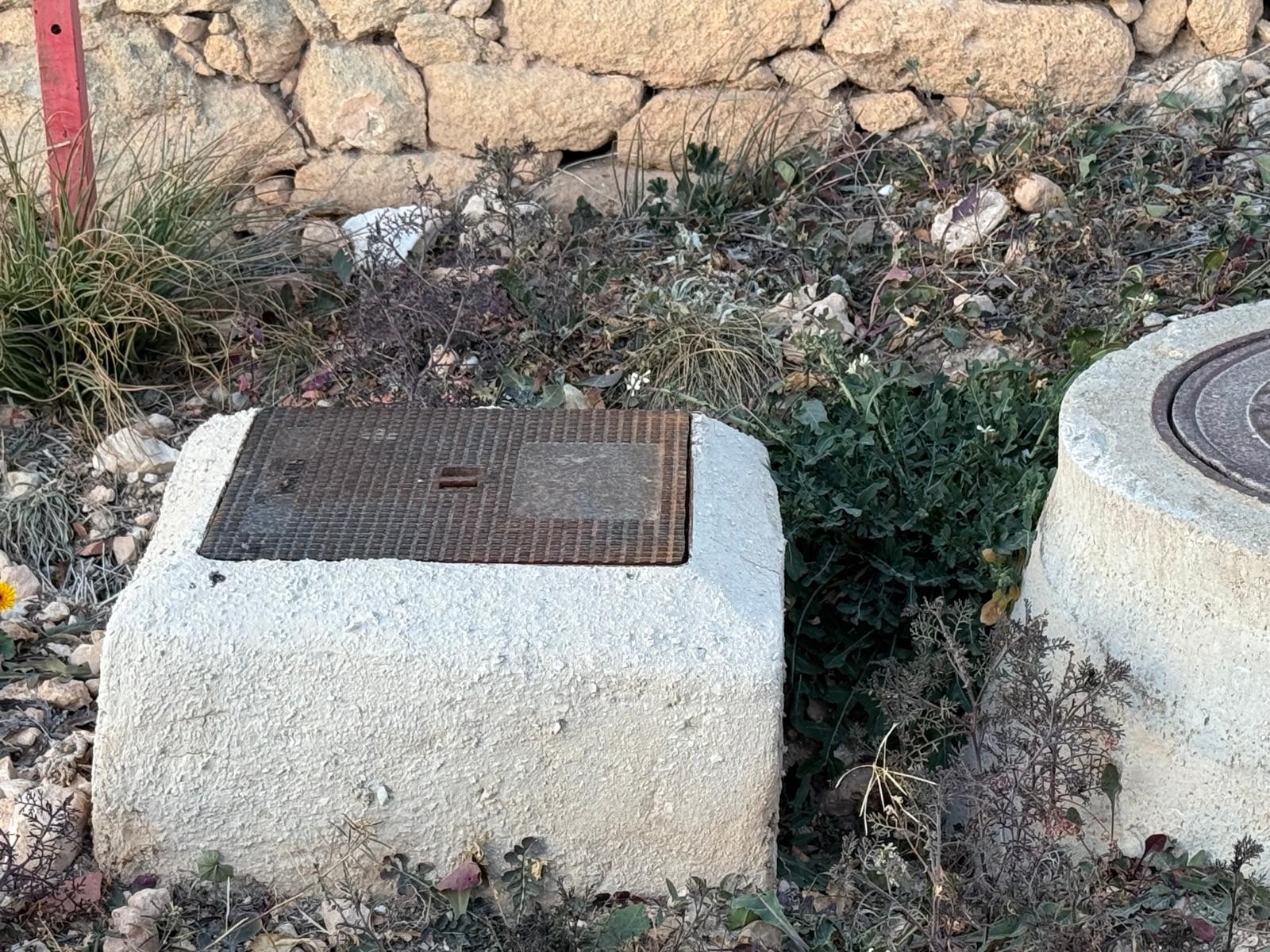 Garden in land for sale in Pinoso