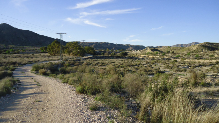 This 7,575 m² urbanizable plot is located in a quiet countryside area of Abanilla