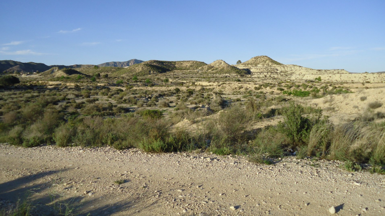 This 7,575 m² urbanizable plot is located in a quiet countryside area of Abanilla