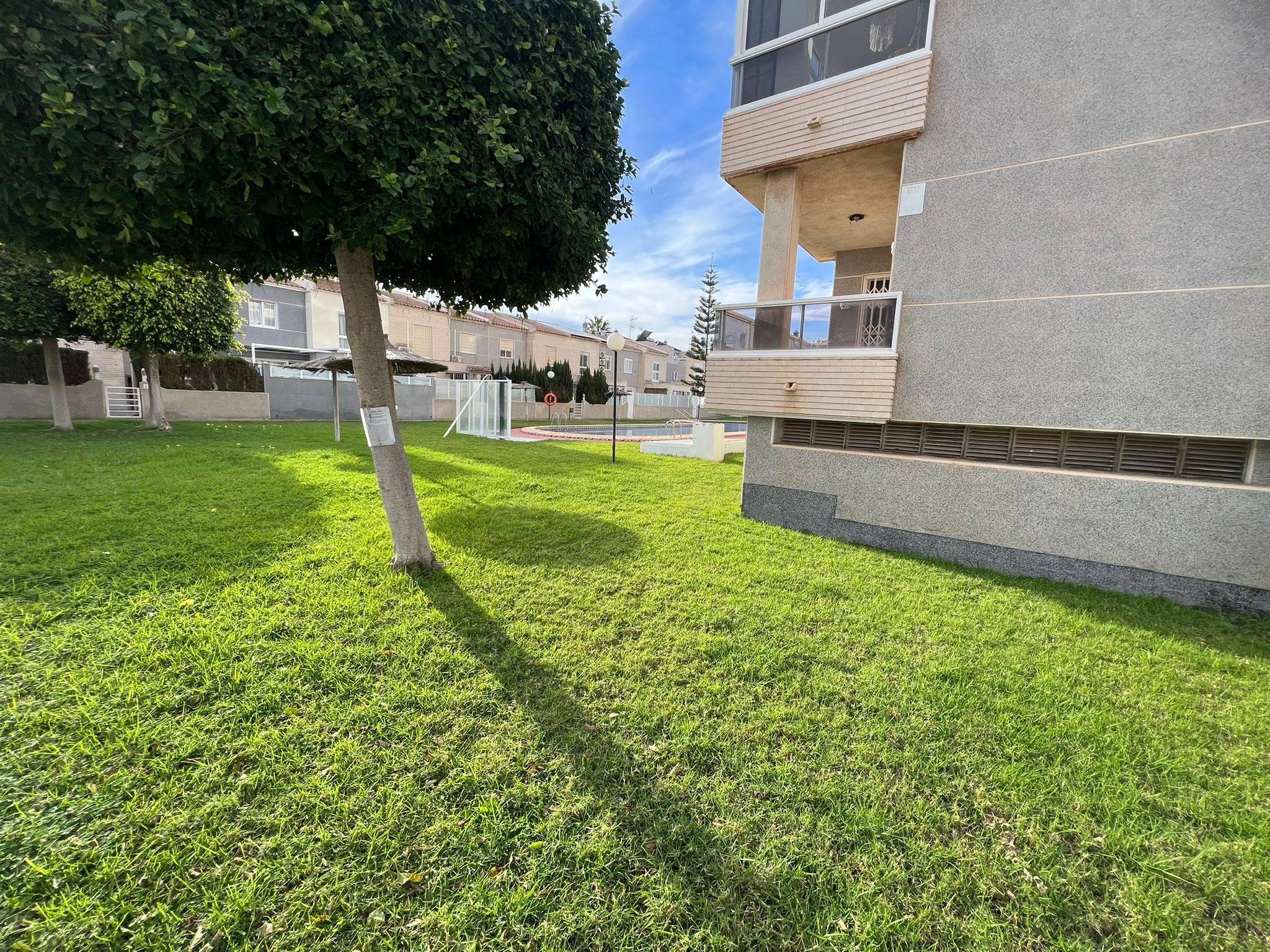 Pool area in apartment for sale in Torrevieja