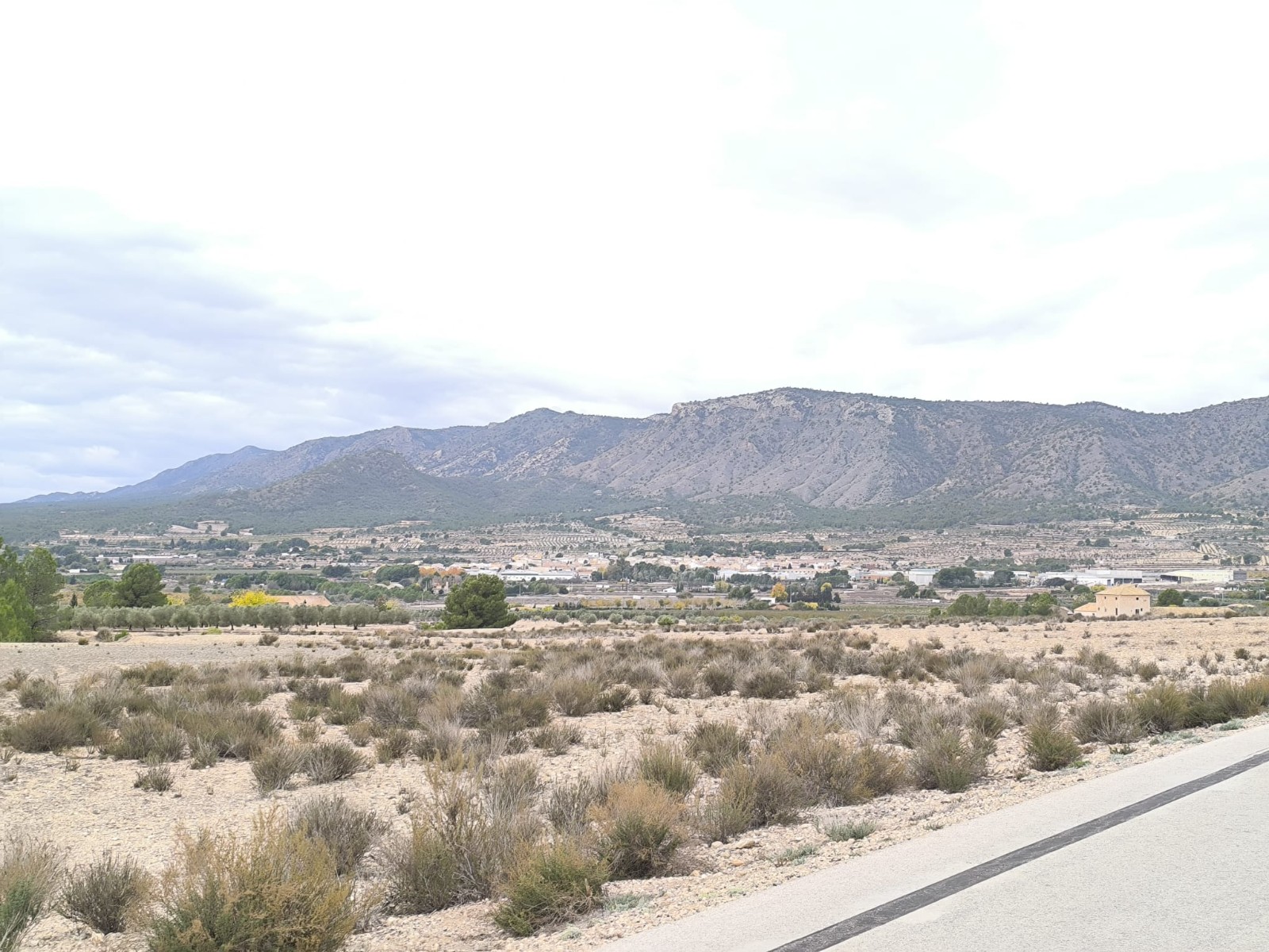 Garden in land for sale in Salinas