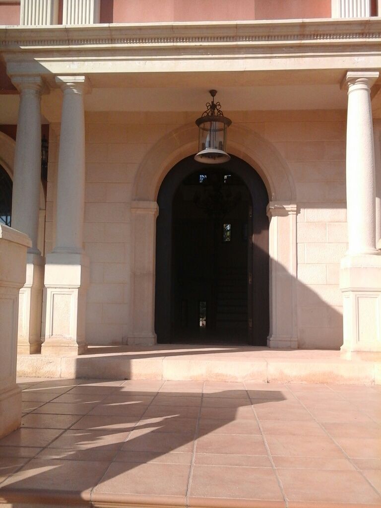 Exterior view in villa for sale in Elche