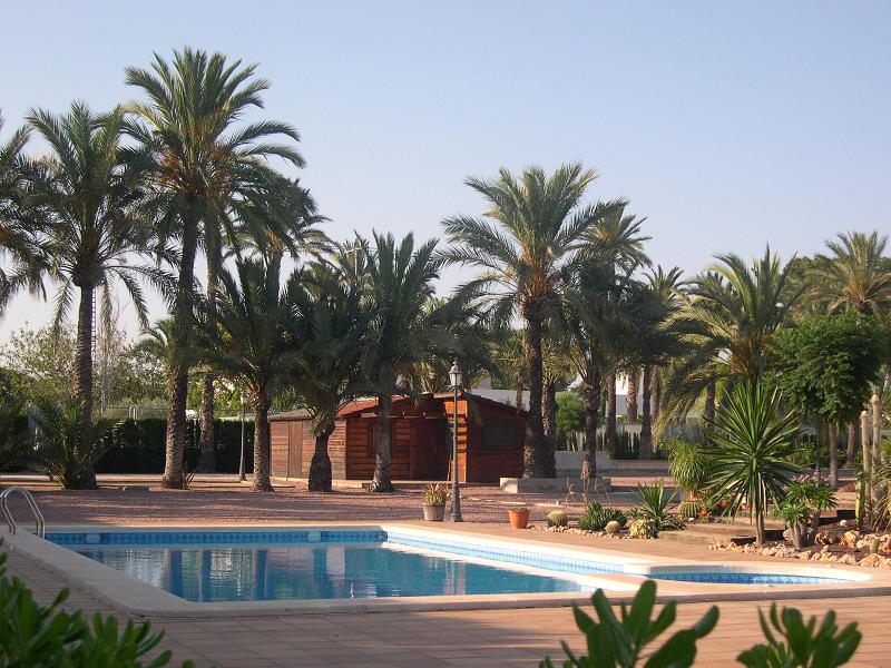 Kitchen in villa for sale in Elche