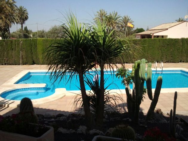 Garden in villa for sale in Elche