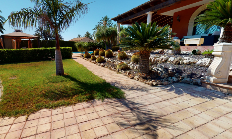 Pool area in villa for sale in Elche
