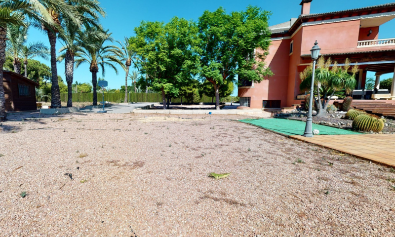 Garden in villa for sale in Elche