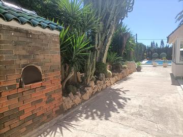 Exterior view in villa for sale in Elche
