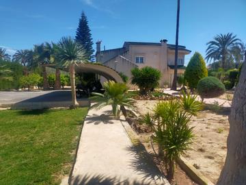 Pool area in villa for sale in Elche