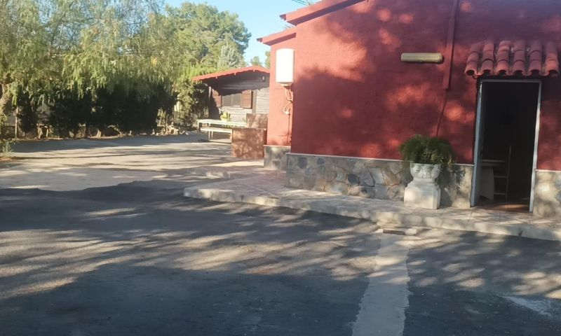 Garden in villa for sale in Elche