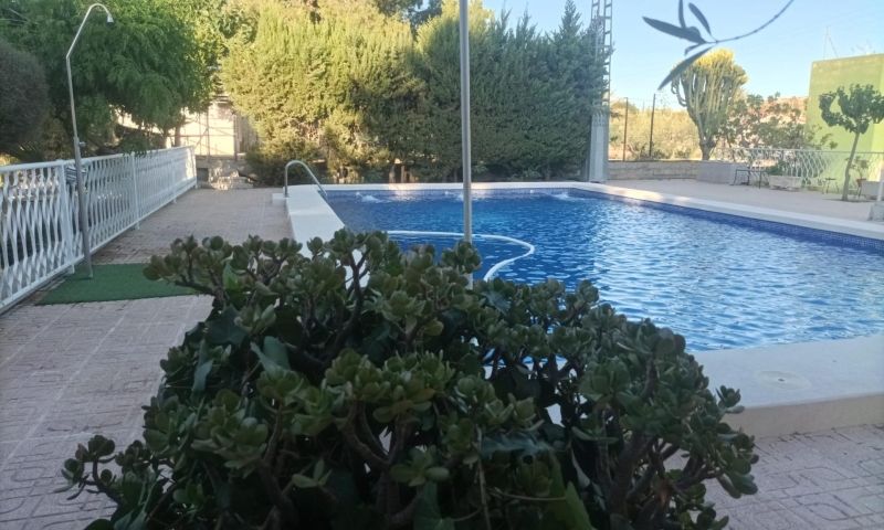 Exterior view in villa for sale in Elche