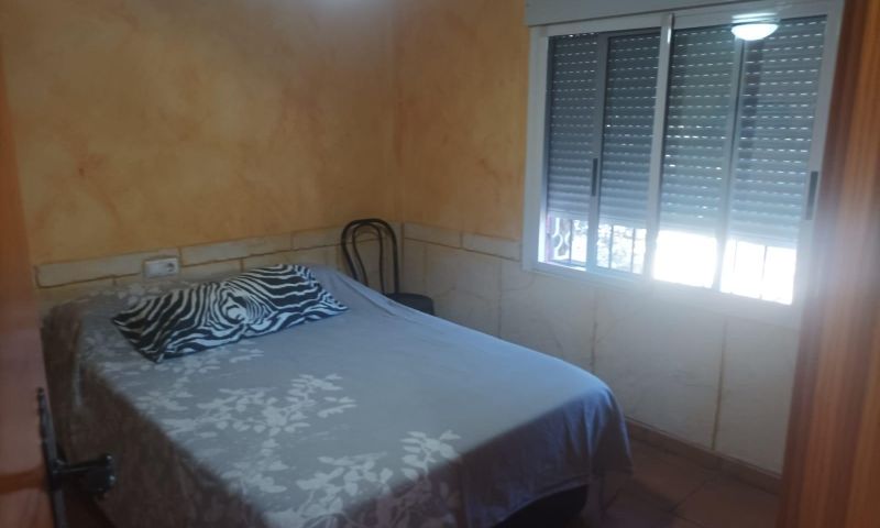 Garden in villa for sale in Elche