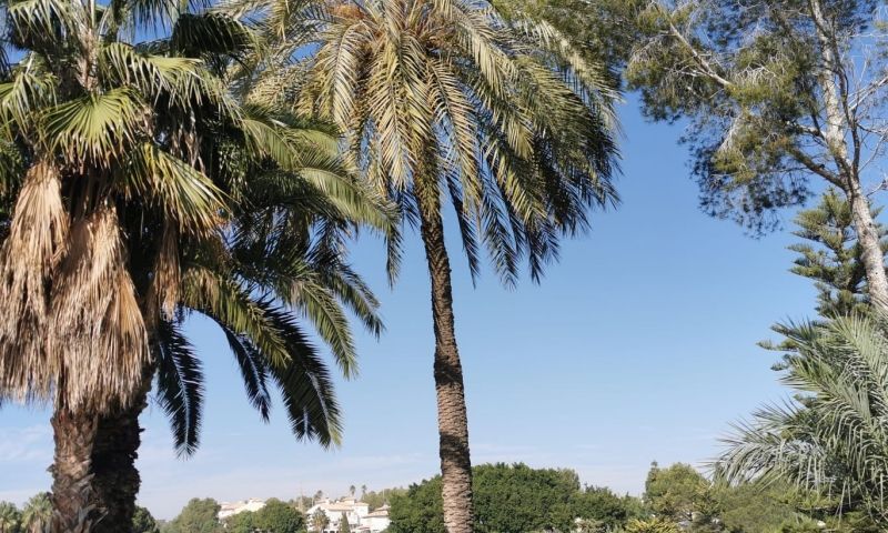 Kitchen in apartment for sale in Orihuela Costa