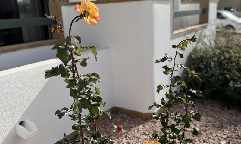 Dining area in apartment for sale in Orihuela Costa
