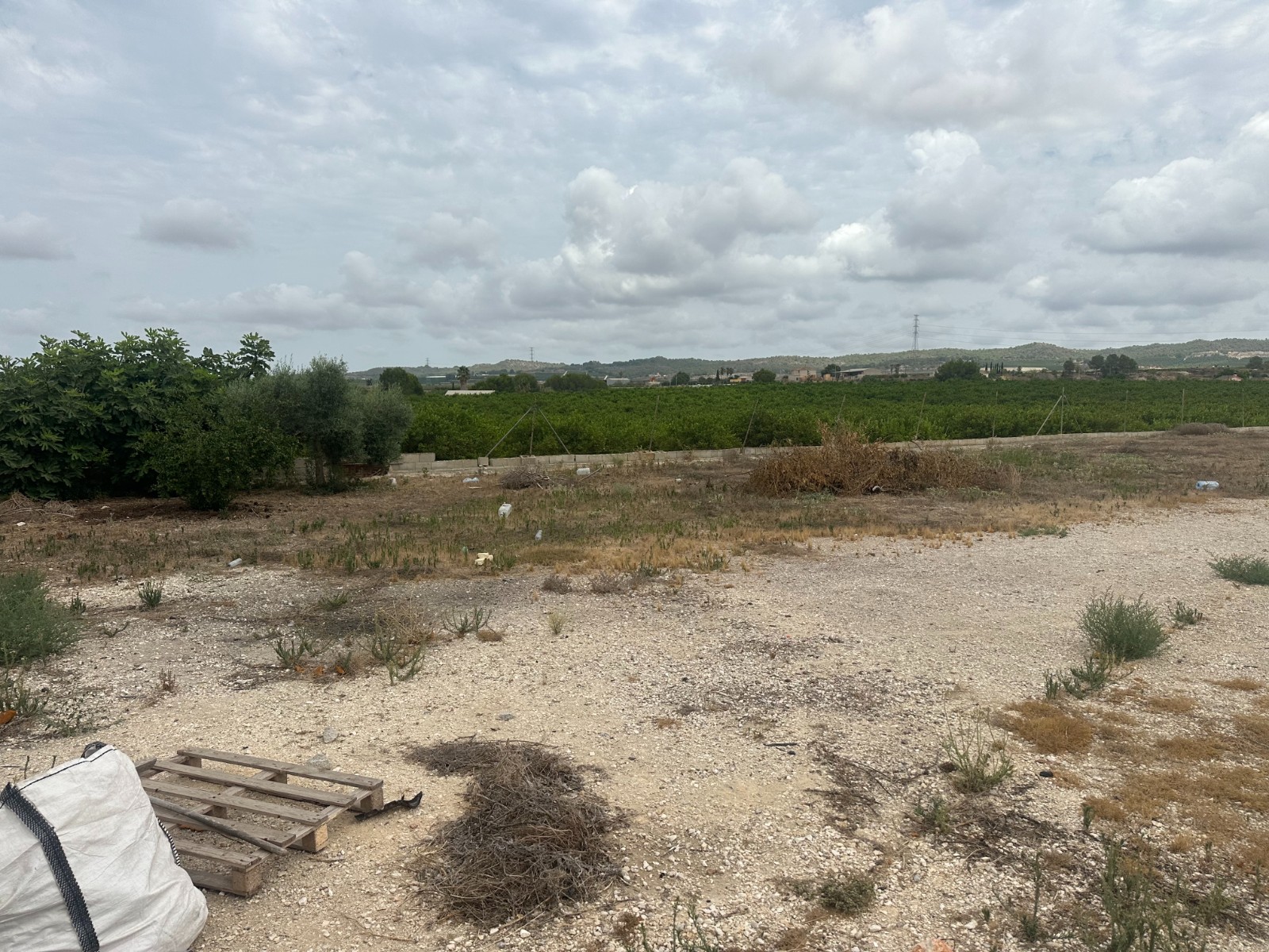 We present you a plot of land in the outskirts of Torremendo with a warehouse (registered on the dee