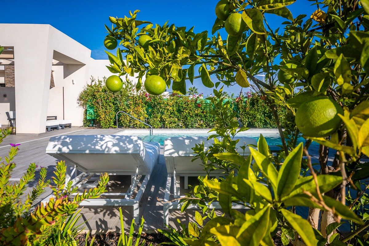 Exterior view in villa for sale in Algorfa