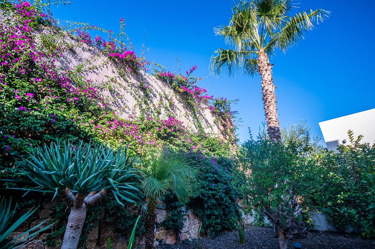 Terrace in villa for sale in Algorfa