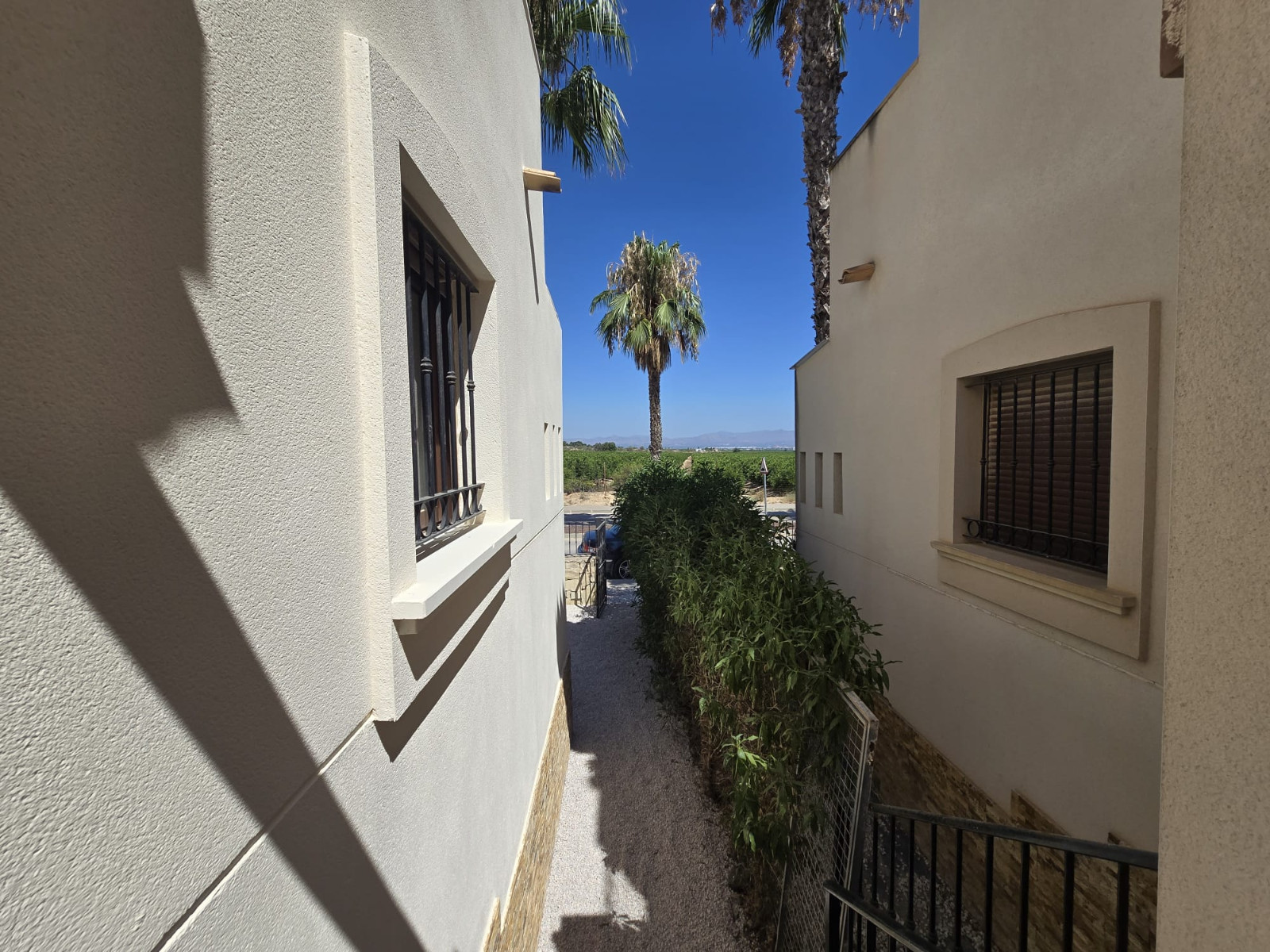 Exterior view in duplex for sale in Algorfa