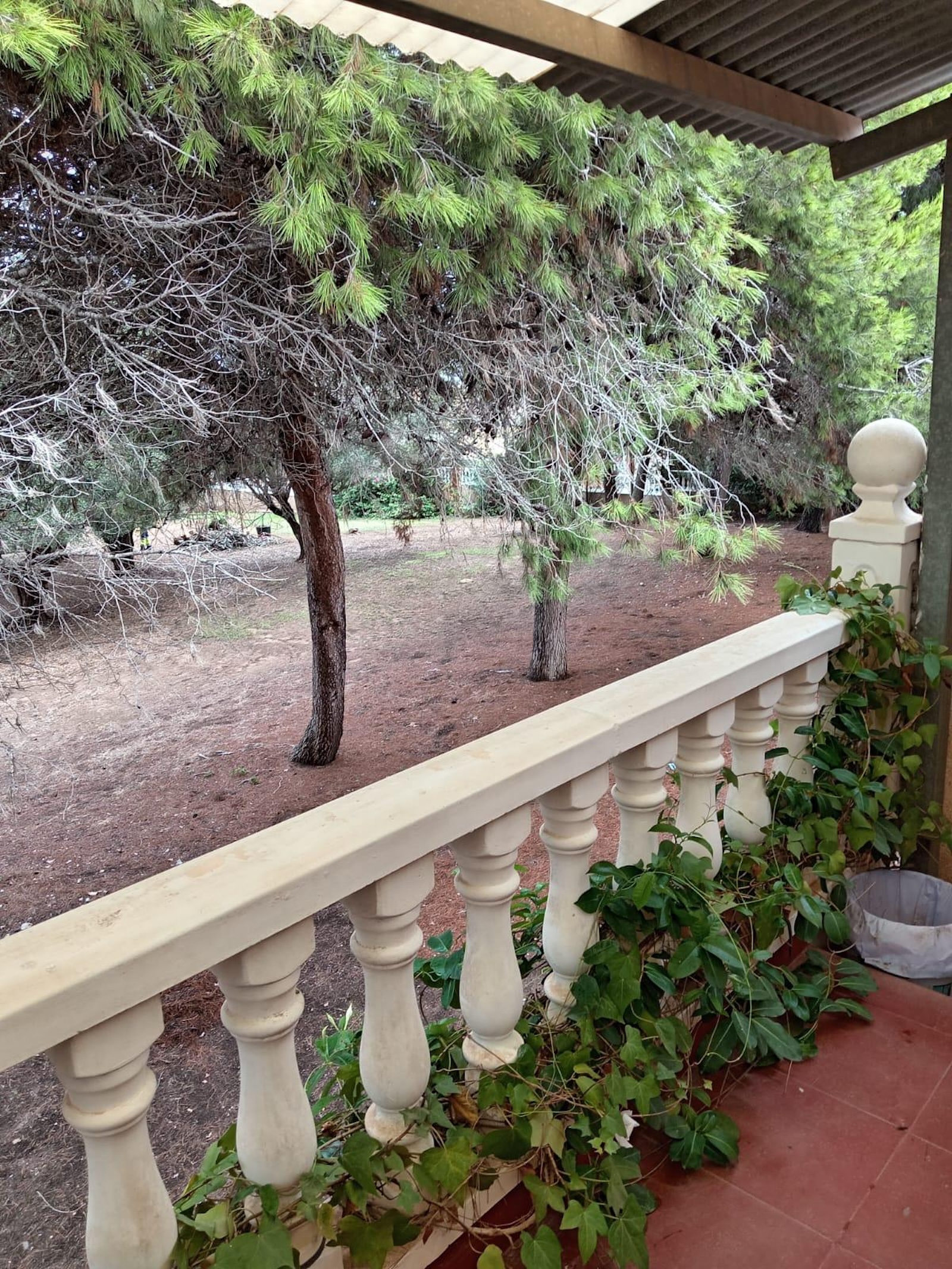 Terrace in terraced for sale in Torrevieja